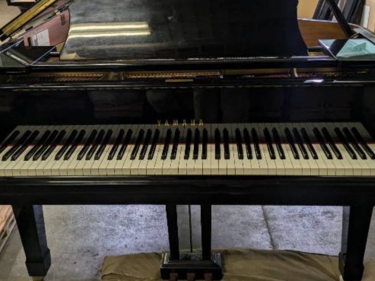 買取実績用　YAMAHA G1E 5121830