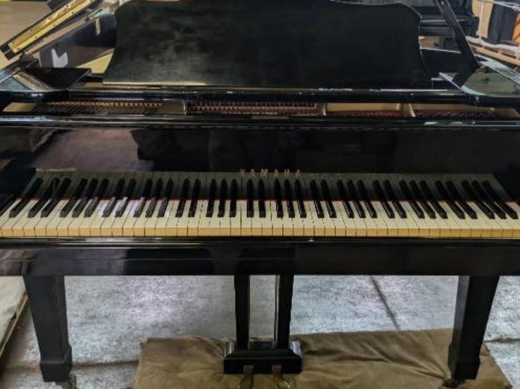買取実績用　YAMAHA G3E 3740226