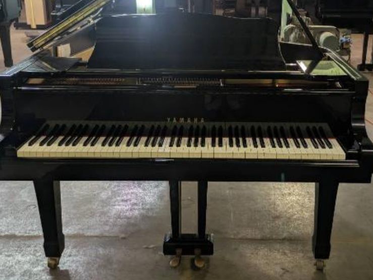 買取実績用　YAMAHA G5E 3610877
