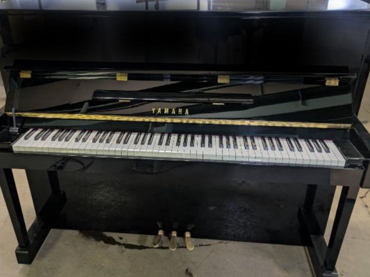 買取実績用　YAMAHA YM5 6068193