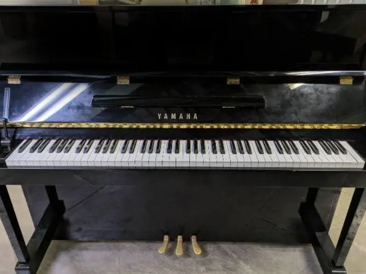 買取実績用　YAMAHA YM5 6247931