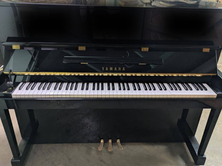 買取実績用　YAMAHA YM5 6293679
