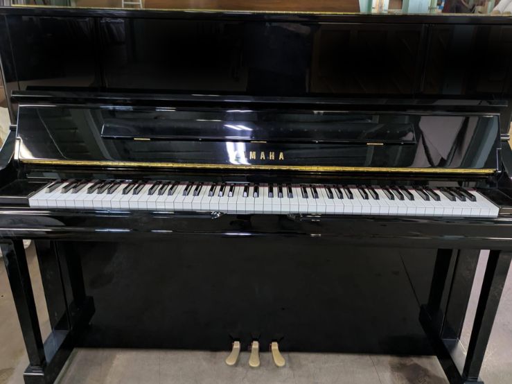 買取実績用　YAMAHA YU10 6164722