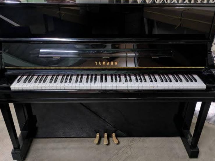 買取実績用　YAMAHA YU11 6177262