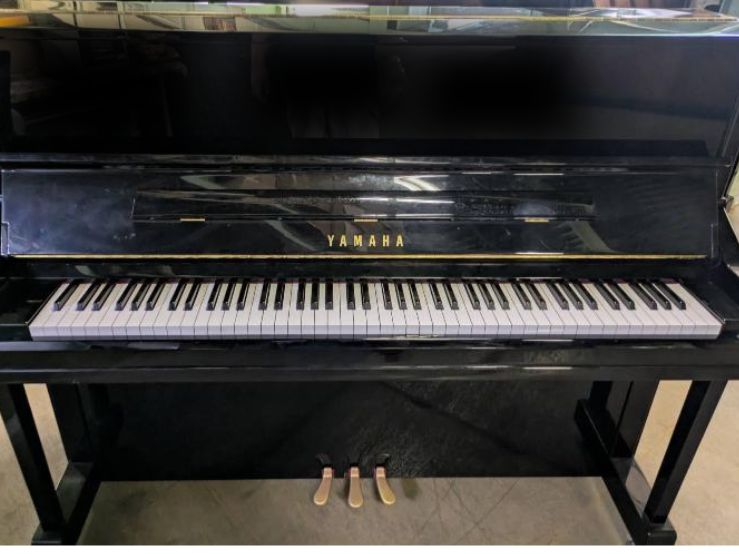 買取実績用　YAMAHA YU11 6466605