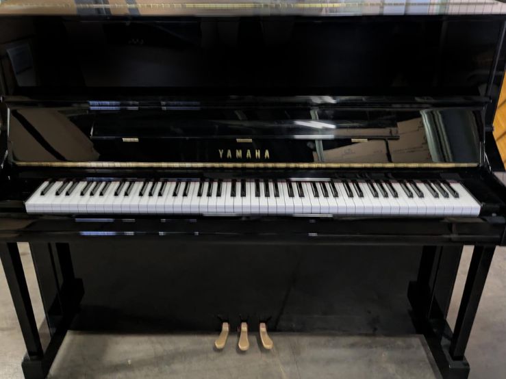 買取実績用　YAMAHA YU11 6533811