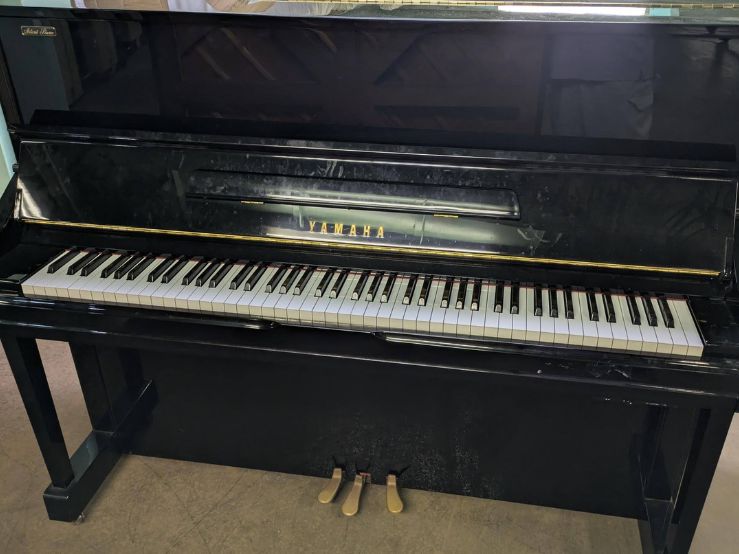 買取実績用　YAMAHA YU1S 5578187
