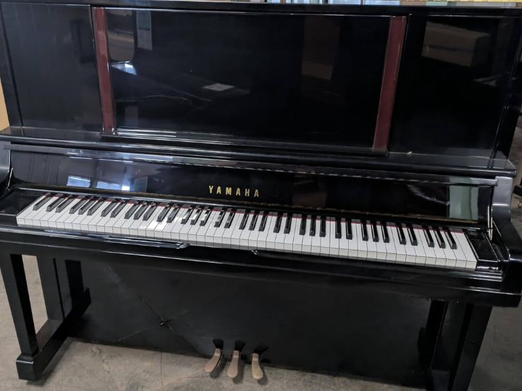 買取実績用　YAMAHA YU5SXGZ 5869676