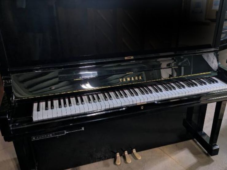 買取実績用　YAMAHA YUS3SH 6395396