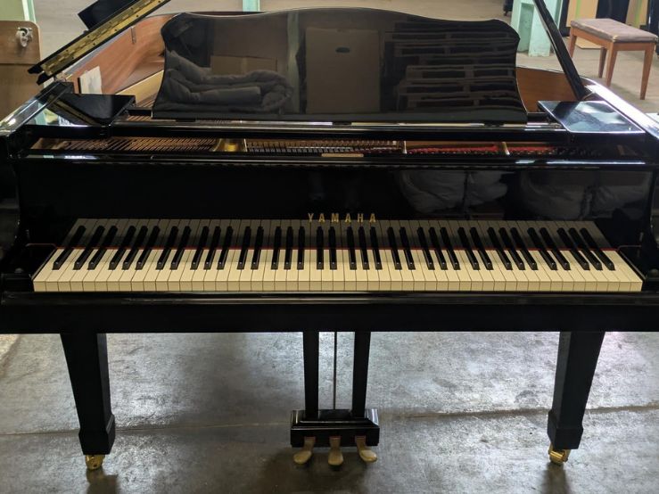 買取実績用　YAMAHA C3E 5190321
