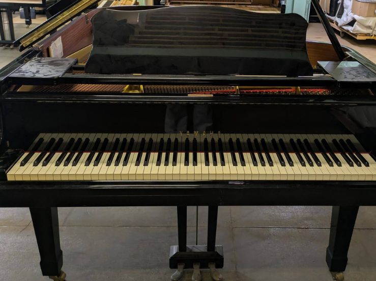 買取実績用　YAMAHA C5A 4250999