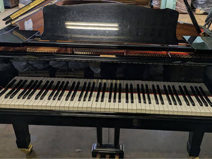 買取実績用　YAMAHA C6 6280842