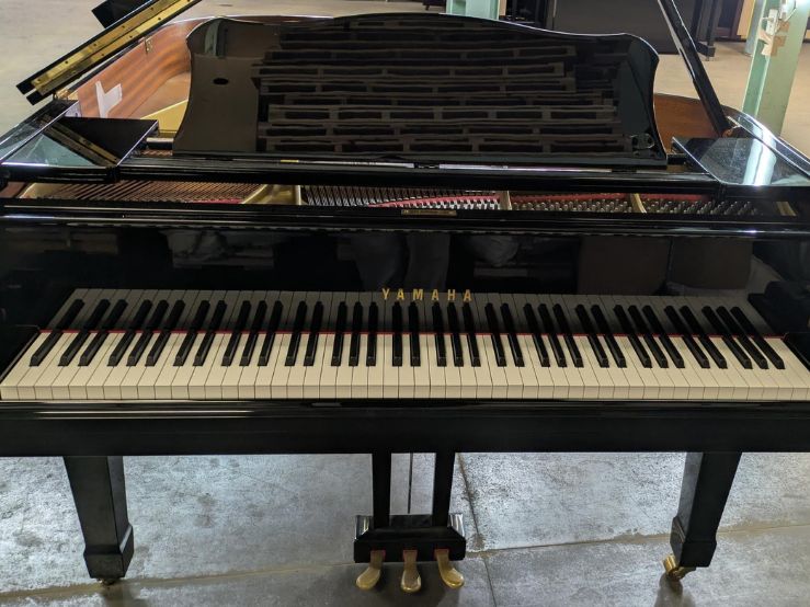 買取実績用　YAMAHA G2A 4511149