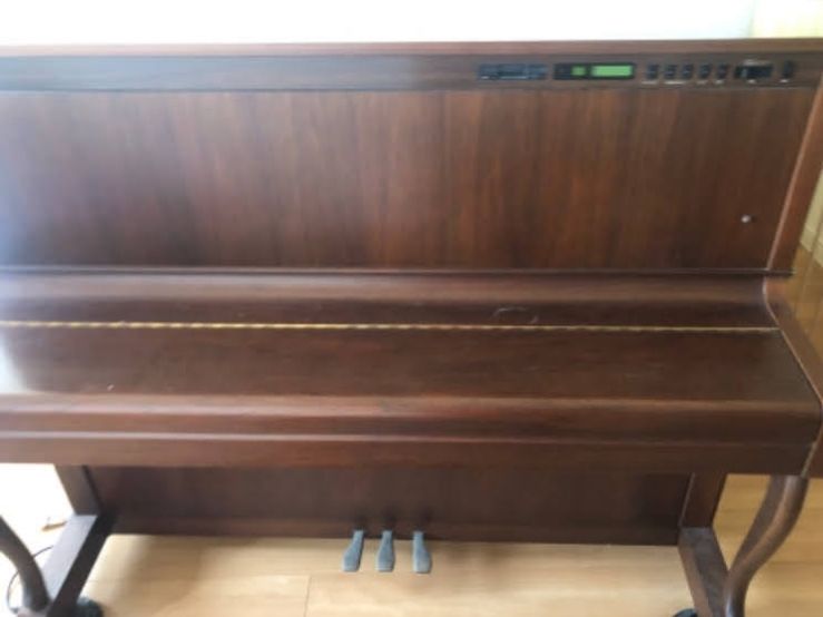 買取実績用　YAMAHA SX101RWNC 5208918