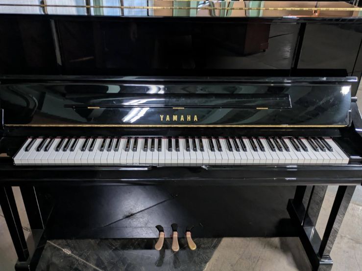 買取実績用　YAMAHA YU10 6055380