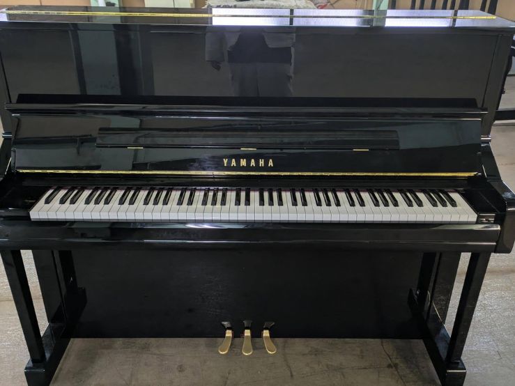 買取実績用　YAMAHA YU11 6562587