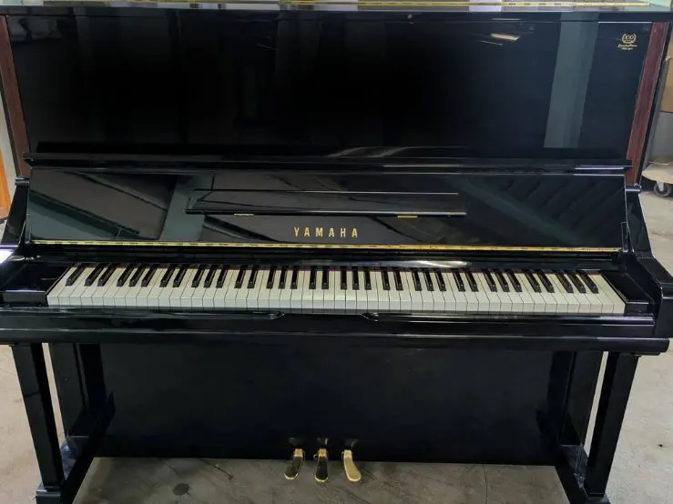買取実績用　YAMAHA YU3C 5890622