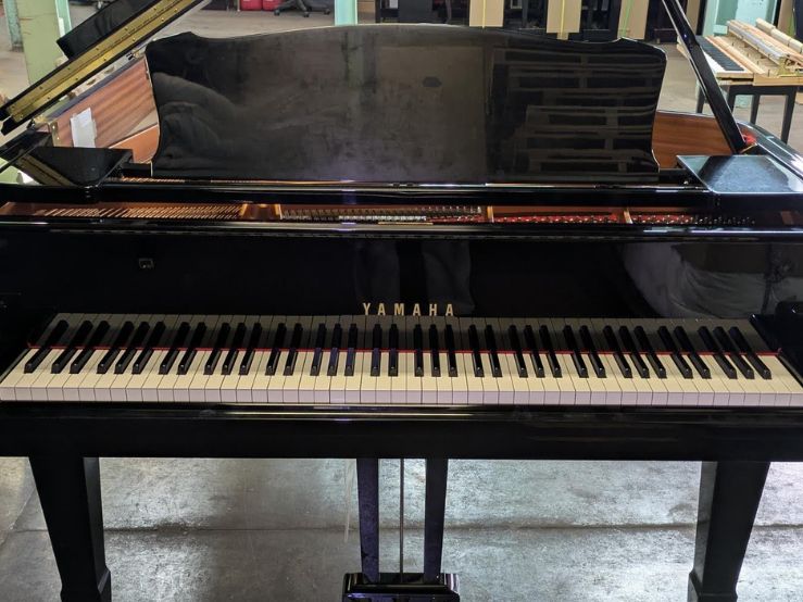 買取実績用　YAMAHA C5 6346187