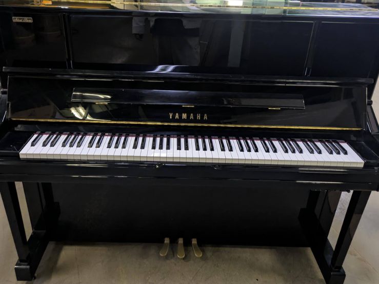 買取実績用　YAMAHA YU10SB 6014454