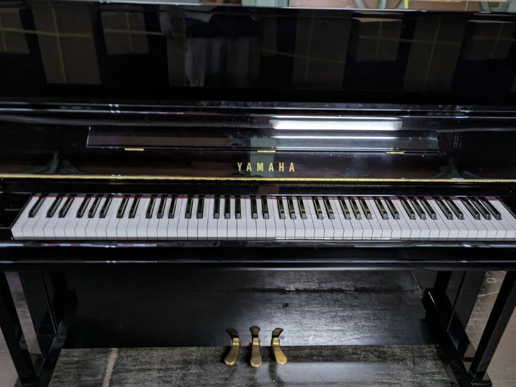 買取実績用　YAMAHA YU11 6387170