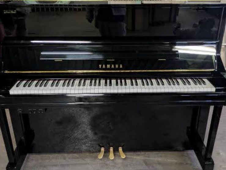 買取実績用　YAMAHA YU11SD 6333784