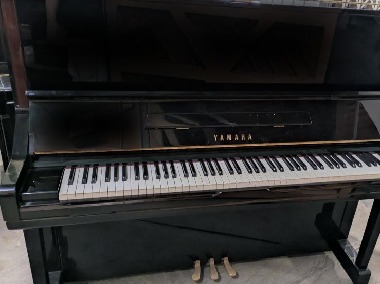 買取実績用　YAMAHA YU3C 5879967