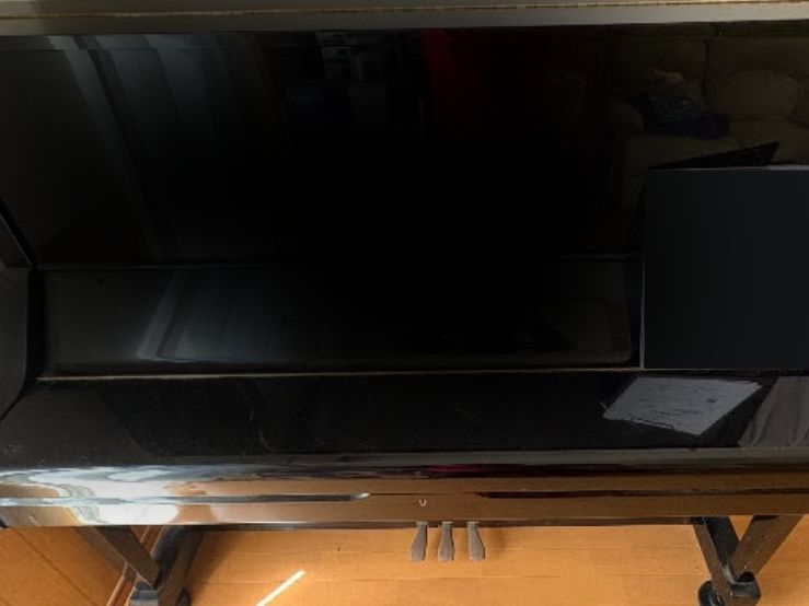 買取実績用　YAMAHA UX 3008641