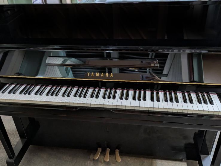 買取実績用　YAMAHA YU1 5836159