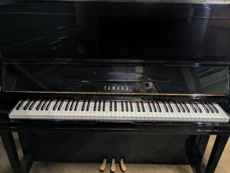 買取実績用　YAMAHA YU3 5902065